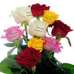 bouquet-long-rose-fleur-_17910